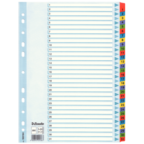 Przekładki Esselte A4 Mylar 1-31